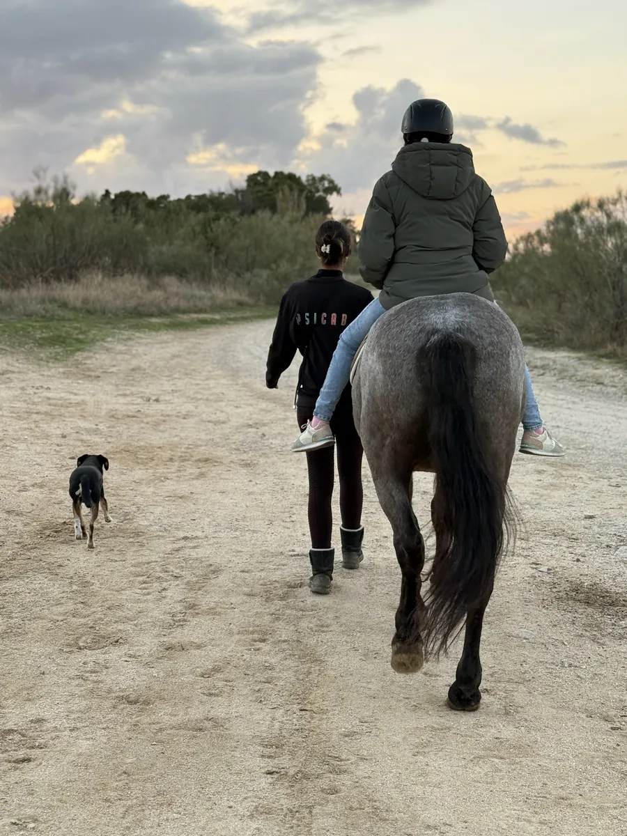 Paseo a caballo por el campo acompañado por una terapeuta de PSICAB